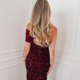 Burgundy Cecilia Velvet Sequin Dress